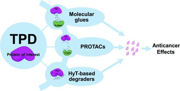 Targeted Protein Degradation Market