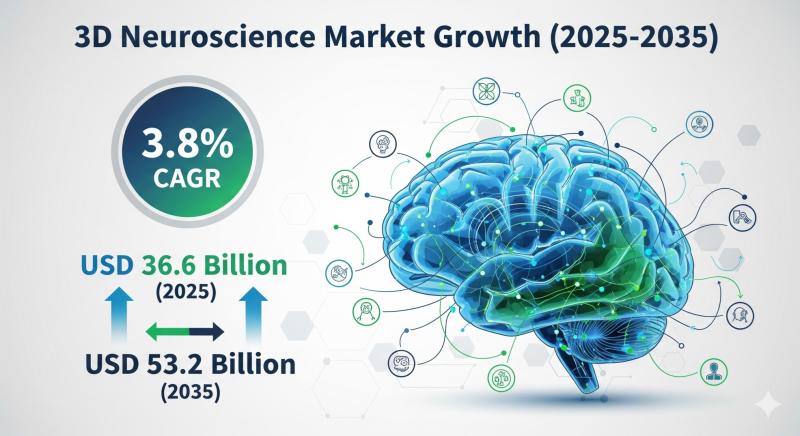 3D Neuroscience Market to Hit USD 53.2 Billion by 2035, Driven by Imaging, AI, and Emerging Innovators
