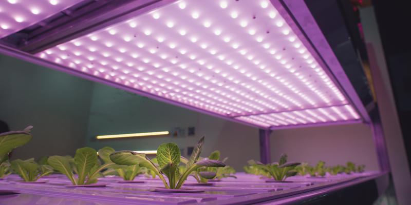 Horticulture Lighting Market