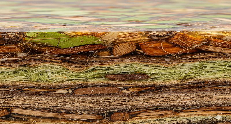 Bio-based Composite Material Market Outlook 2035: Size, Growth, Key Players, and Future Trends