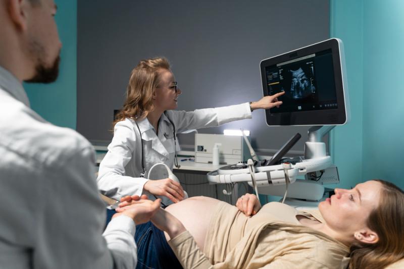 Non-Invasive Prenatal Testing (NIPT) Market Set to Transform Prenatal Care Worldwide by 2033 - DataM Intelligence Forecast