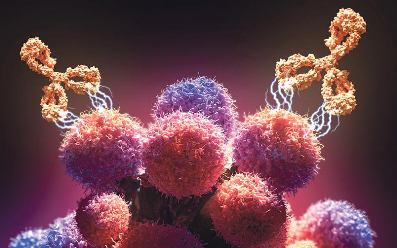 Cancer Monoclonal Antibodies Market Poised for Breakthrough Growth Amid Rising Demand for Targeted Therapies 2025 | Top key players - Amgen Inc., Bristol Myers Squibb Company, Eli Lilly and Company.
