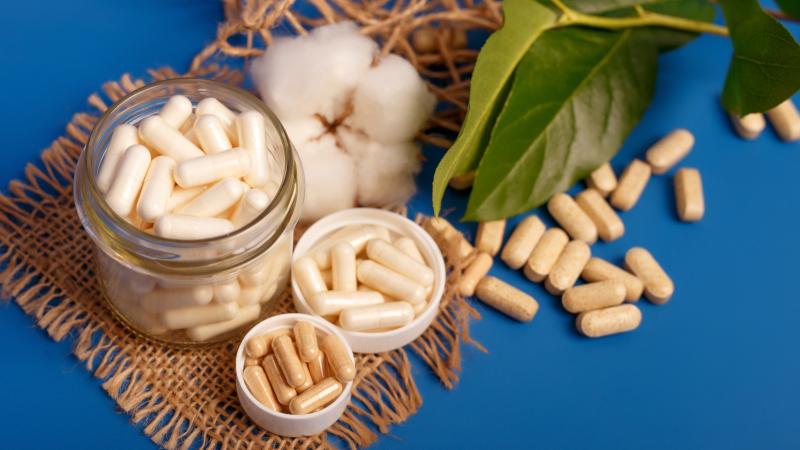 US & Canada Probiotic Food Supplement Market Expands with Liquids & Plant-Based Options | Most Leading Companies are PanTheryx, Inc., LoveBug Probiotics., EquiLife, Inc.