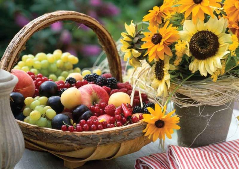 Food Enzyme Market Seeking Excellent Growth | Amway, Enzymatic Deinking Technologies, Aum Enzymes