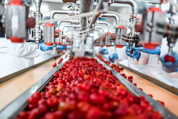 BOWE PACK Elevates Global Food Packaging