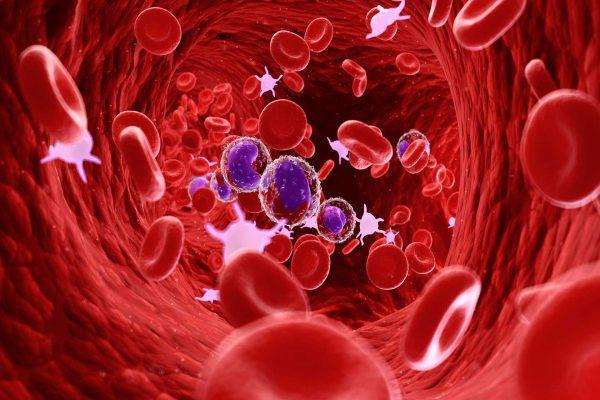 Global Hematology Market Set to Surge with Cutting-Edge Innovations and Rising Demand 2025 | Top key players - Sysmex Corporation, Danaher Corporation, Siemens Healthcare.