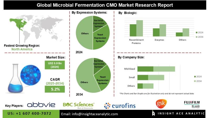 Microbial Fermentation CMO Market Overview and Future Opportunities