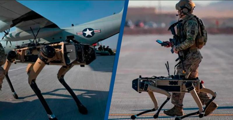 Rise of Military Robotics Market 2025: United States Leading The Industry | Top 5 Companies - Raytheon Technologies Corporation, Thales Group, QinetiQ Group plc, iRobot Defense & Security, Turkish Aerospace Industries (TAI).