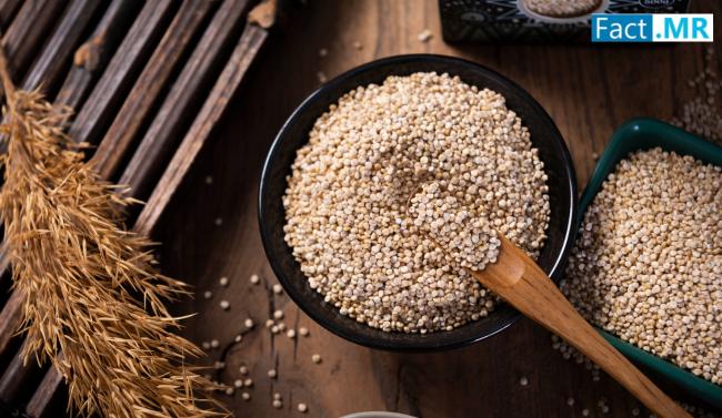 Hemp Seed Peptide Market Poised to Reach USD 6.7 Billion by 2035 Amid Rising Demand for Plant-Based Nutrition