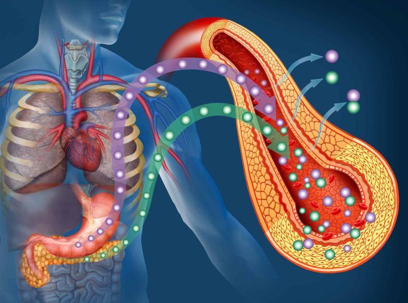 Global Insulin Resistance Market Set to Redefine Diabetes Care Growth Strategies 2025 | Top key players - Glenmark Pharmaceuticals, AstraZeneca, Bristol-Myers Squibb.