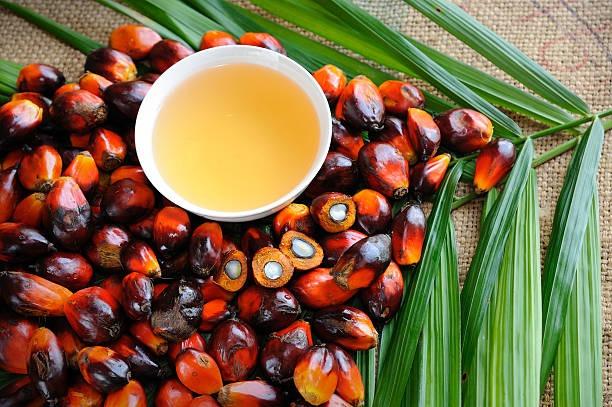 India Palm Oil Market Size, Share, Industry Growth, Outlook and Report 2025-2033