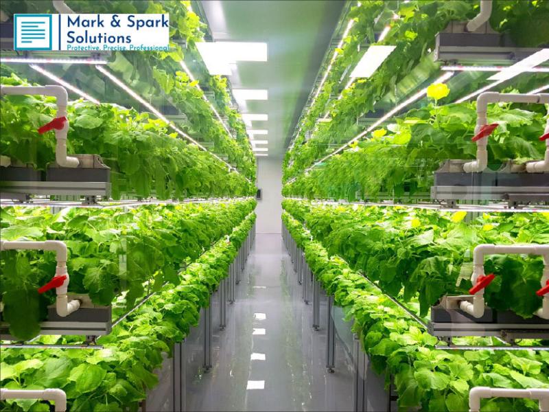 Vertical Farming Market to Reach USD 26.5 Billion by 2030, Growing at 22.3% CAGR