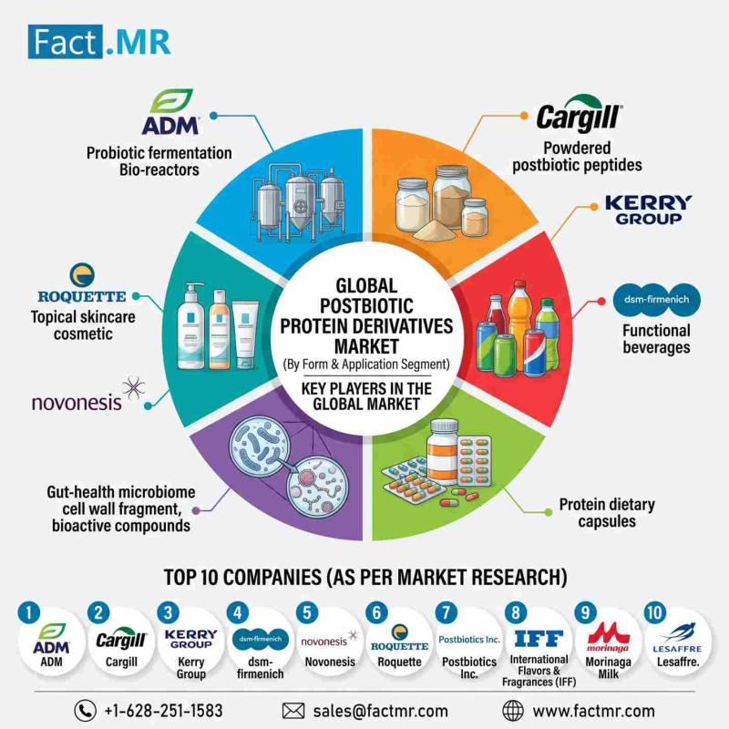 Postbiotic Protein Derivatives Market Gains Momentum as Stable