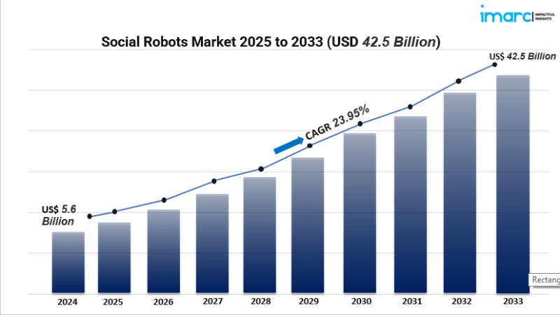 Social Robots Market Growth Outlook 2025-2033: Hardware, Software, Services, and End-Use Applications