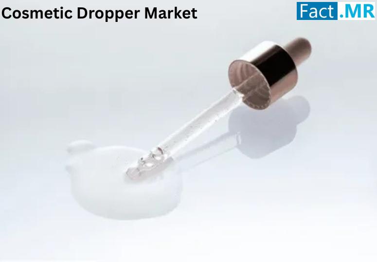 North America Cosmetic Dropper Market to Reach 4.1% CAGR by 2035, Driven by Premium Skincare Demand