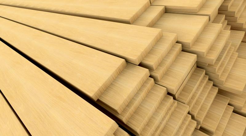 Top Companies in the India Plywood Industry 2025