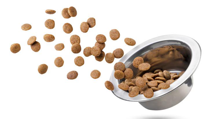 Frozen Pet Food Market 2025-2032: Top in United States - Steve's Real Food, Carnivore Meat Company LLC, Canvasback Pet Supplies, Stella and Chewy's LLC, Kiezebrink, PetSmart LLC