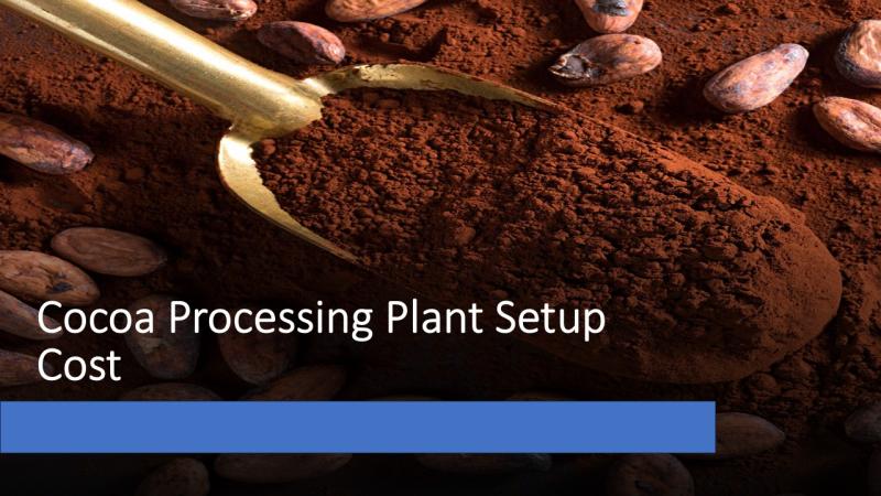 Cocoa Processing Plant Setup Cost 2025: Business Plan, Requirements and Revenue
