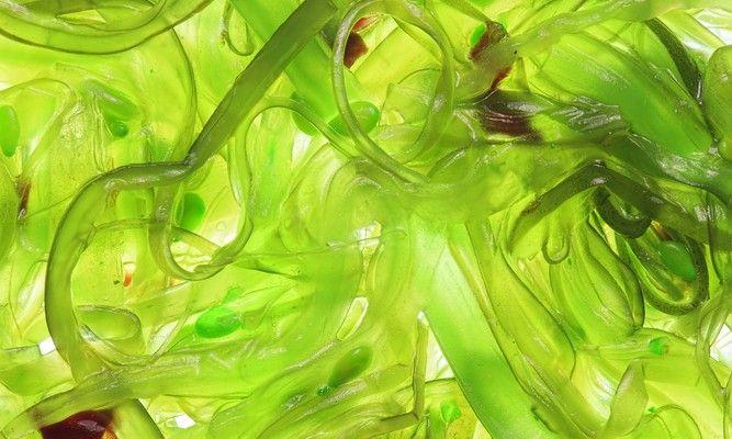 US Algae Omega-3 Supplements Market Growth Fueled by Sustainable and Plant-Based Trends | Major Companies are BASF SE, Nordic Naturals, Lonza Group Ltd.