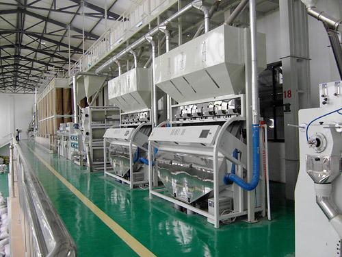 Millet Processing Plant Report 2025: Business Plan, and Profit Margin