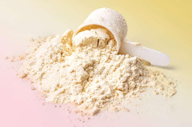 Whey Protein Powder Manufacturing Plant Report 2025: Comprehensive Business Plan, Cost and Revenue