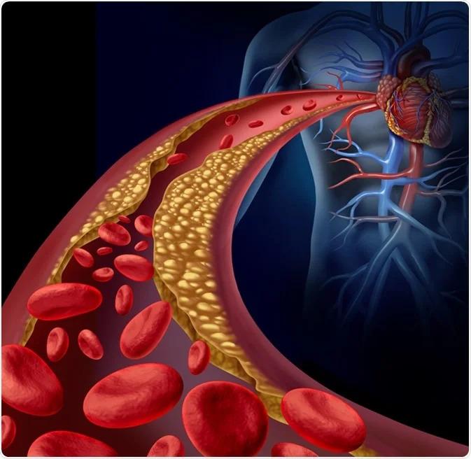 Blood Clotting Factors Market Set for Breakthrough Growth Driven by Advanced Biologics and Novel Therapies 2025 | Top key players - Shire Plc, Baxter International Inc., Grifols International SA.