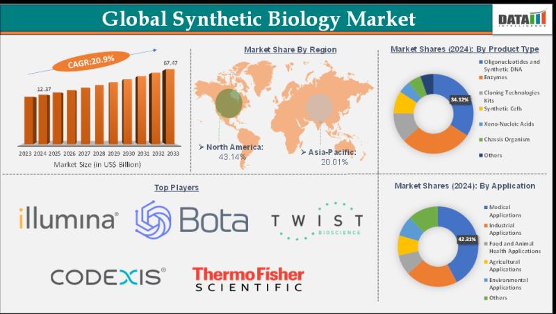 Synthetic Biology Market to Reach USD 67.47 Billion by 2033 with A Growth Rate of 20.9% CAGR - Report by DataM Intelligence