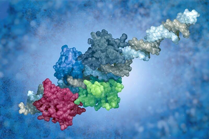 Antifreeze Proteins Market to Reach USD 192.0 Million by 2035, Growing at 27.5% CAGR Driven by Biotech and Food Applications