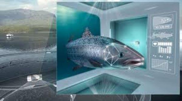 AI in Precision Aquaculture Market Exhibits A Stunning Growth Potentials: ScaleAQ, Deep Trekker