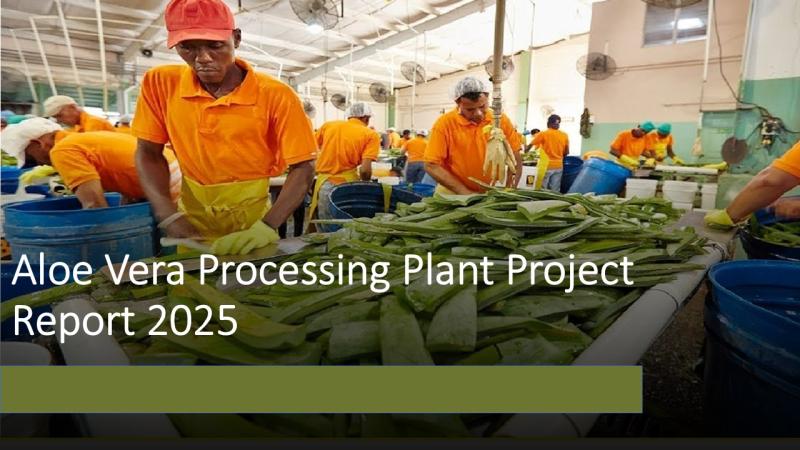 Aloe Vera Processing Plant Setup Cost Report 2025: Complete Investment Guide