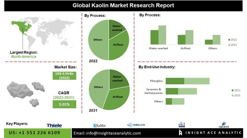 Kaolin Market Top Players - Imerys S.A. (France), Ashapura Group (India), EICL Limited (India), SCR-Sibelco N.V. (Belgium).