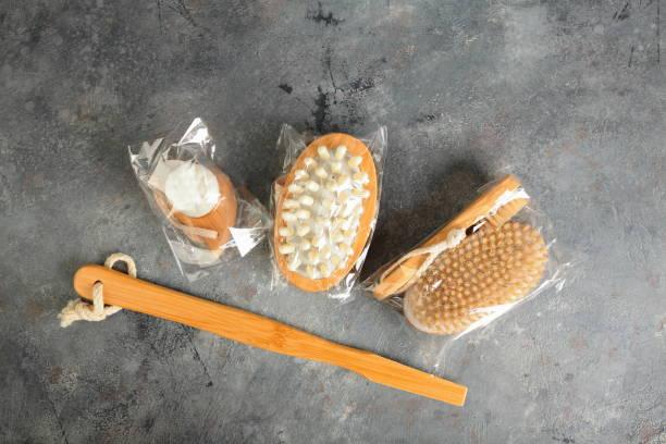 The Global Bristle Brush Market: Trends, Opportunities, and Innovations