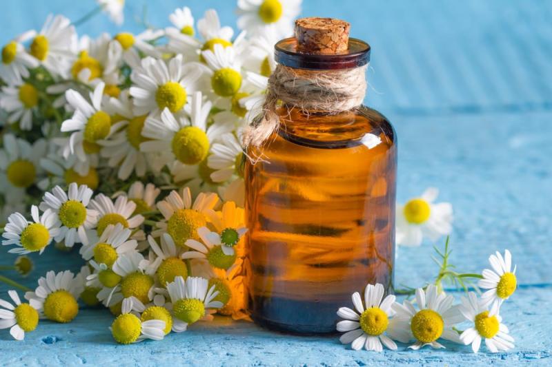 Chamomile Extract Market Booming 2025: Leading in United States: Top 5 Companies - BRM Chemicals, Hollywood Secrets, Infinator Pvt Ltd, Carmine Country Private Limited, Changsha Vigorous-Tech, Gehrlicher Pharmazeutische Extrakte