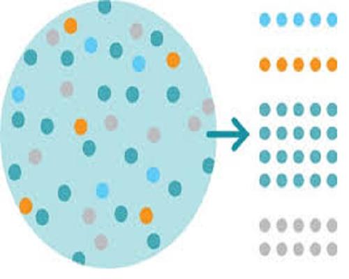 Cell Isolation Market