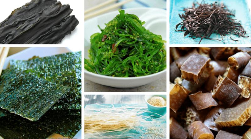 Seaweed Derived Minerals Market Surges to USD 5.1 Billion by 2035, Driven by Global Health and Sustainability Trends