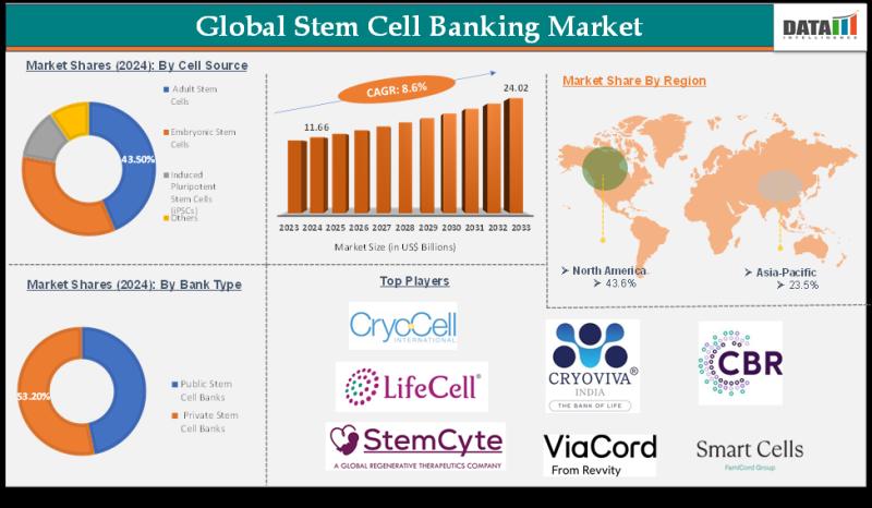 Stem Cell Banking Market to Reach USD 24.02 Billion by 2033, Industry Growing at a CAGR of 8.6% | Top key players - CBR Systems, Inc., ViaCord, LLC, LifeCell