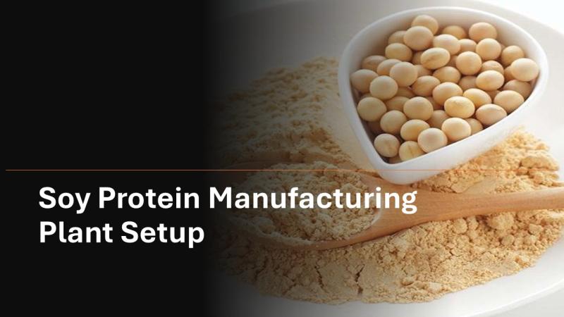 Soy Protein Manufacturing Plant Cost Report 2025: Industry Trends, Unit Setup and Machinery