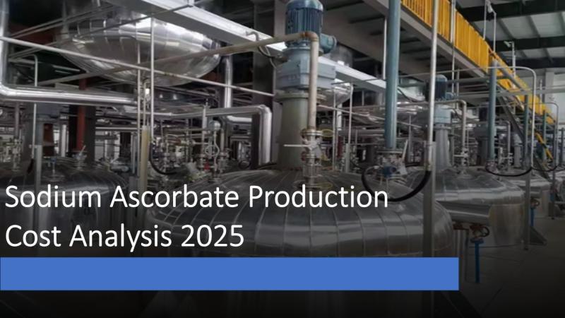 Sodium Ascorbate Production Cost Analysis 2025: Feasibility Study and Profit Margins