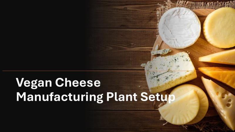 Vegan Cheese Manufacturing Plant Project Report 2025: Industry Trends and Unit Setup