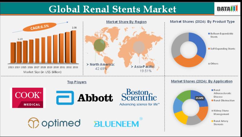 Renal Stents Market to Reach USD 2.08 Billion by 2033, Growing at a CAGR of 6.5% from 2025-2033 | Analysis by DataM Intelligence