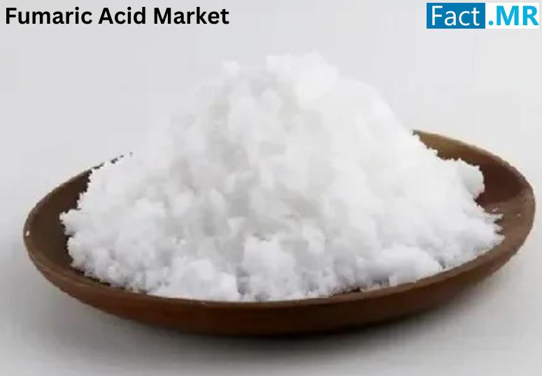 Fumaric Acid Market is Expected to Reach a Valuation of USD 1,142.6 million by 2035 | FactMR Analysis