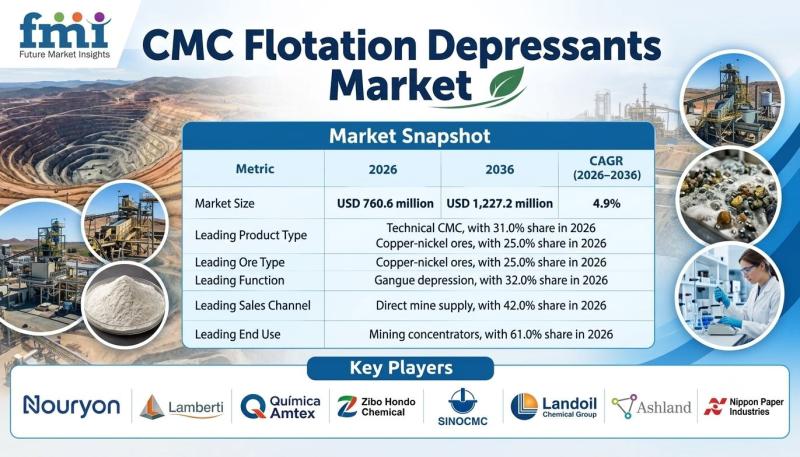 CMC Flotation Depressants Market Advances as Mine Operators