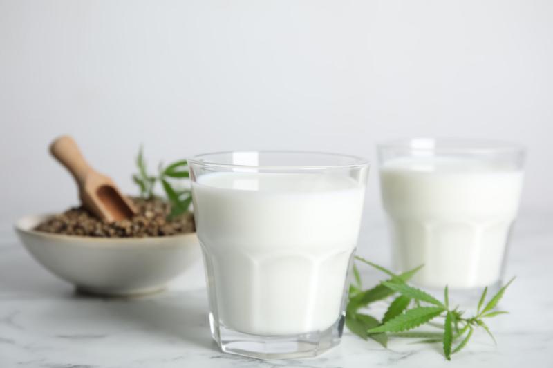 United States Hemp Milk Industry Forecast 2025-2031: Market Drivers, Recent Product Innovations Infused Beverages, and Opportunities in Plant-Based Dairy Alternatives