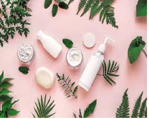 Skin Care Products Market