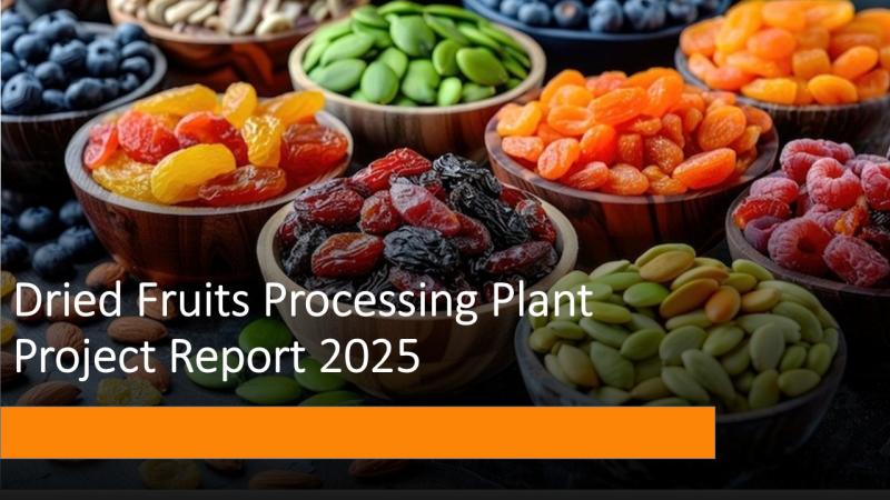 Dried Fruits Processing Plant Cost Breakdown: Setup Guide and Market Outlook