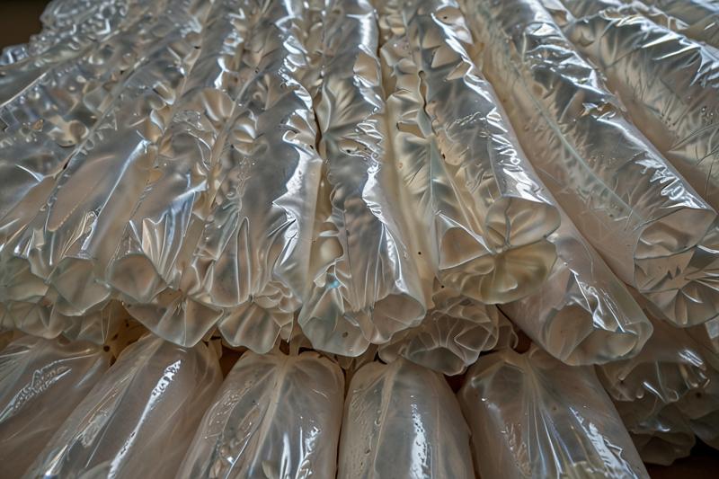 Global Polypropylene Prices Q2 2025 - Trend, News & Insights