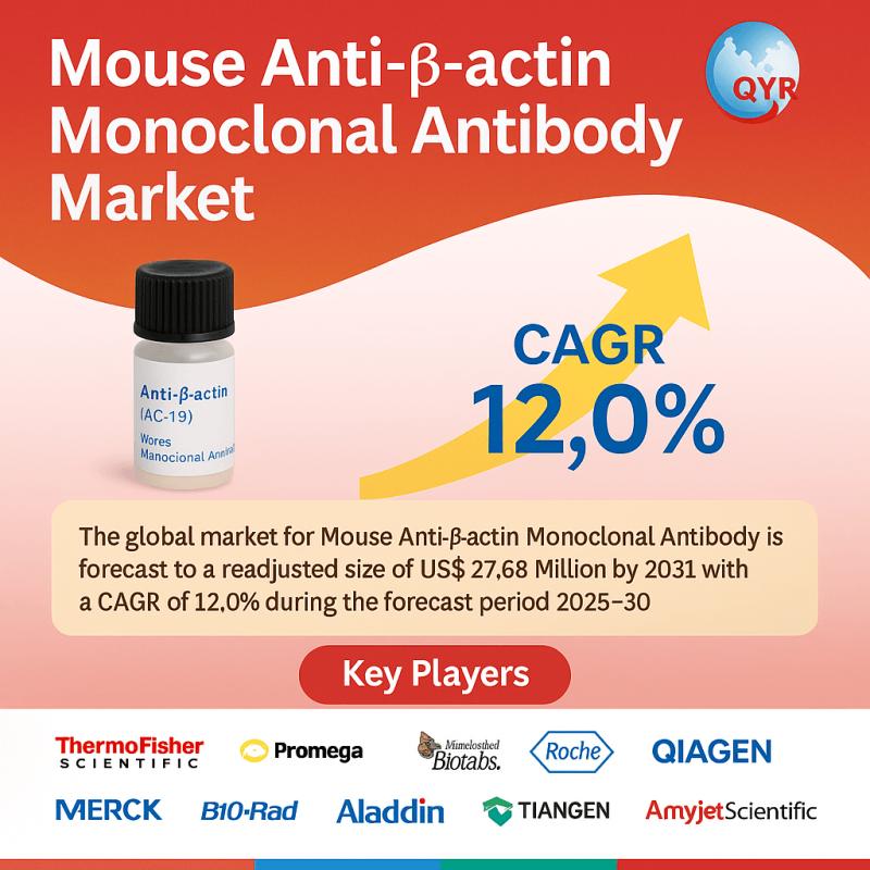 Mouse Anti-β-actin Monoclonal Antibody Market Set to Surge by 2025, Key Trends, Growth Forecasts, and Competitive Insights