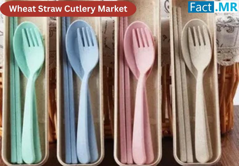 Wheat Straw Cutlery Market: A Sustainable Surge to USD 347 Million by 2035