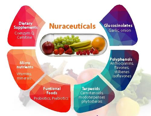 European nutraceuticals Market is projected to reach the value of $4.13 Billion by 2030.