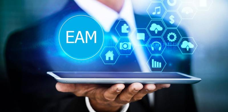 Enterprise Asset Management Market, Enterprise Asset Management Market Size, Enterprise Asset Management Market Share